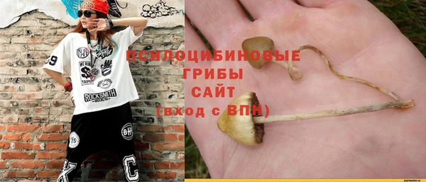 твердый Аркадак
